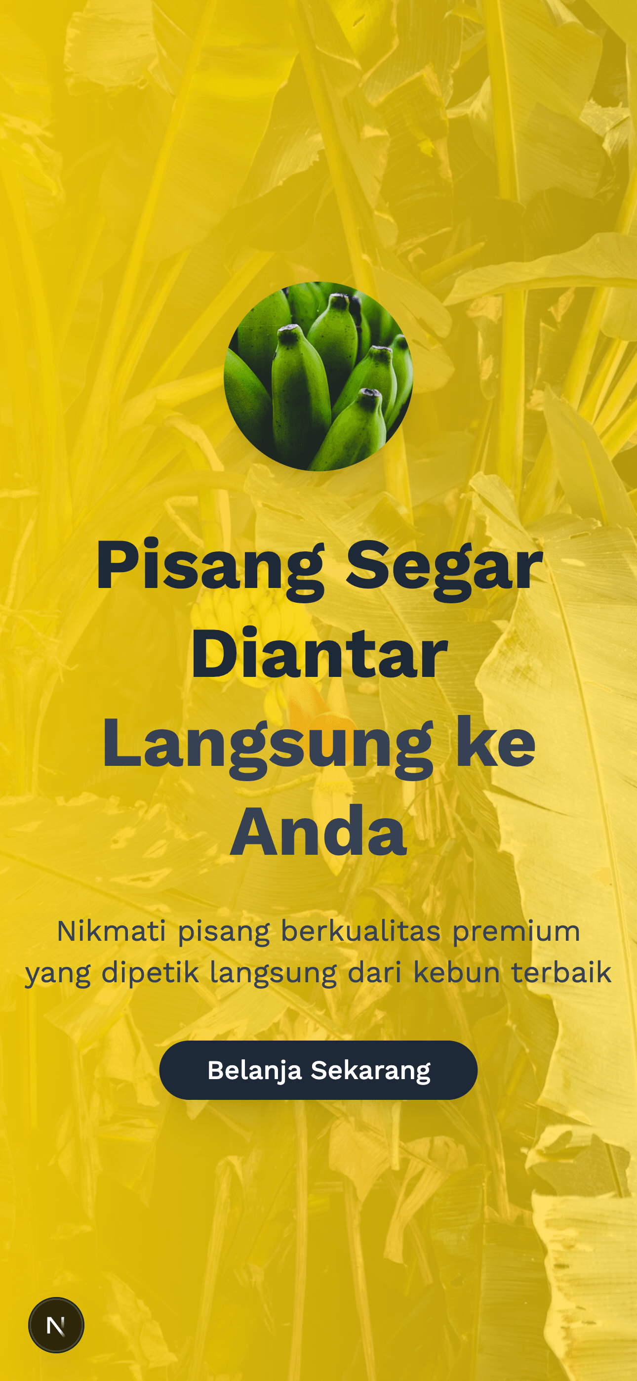 Mybanana